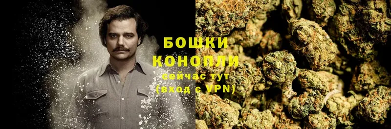 Конопля OG Kush  Балаково 